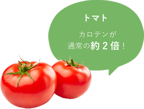 トマト　カロテンが通常の約2倍